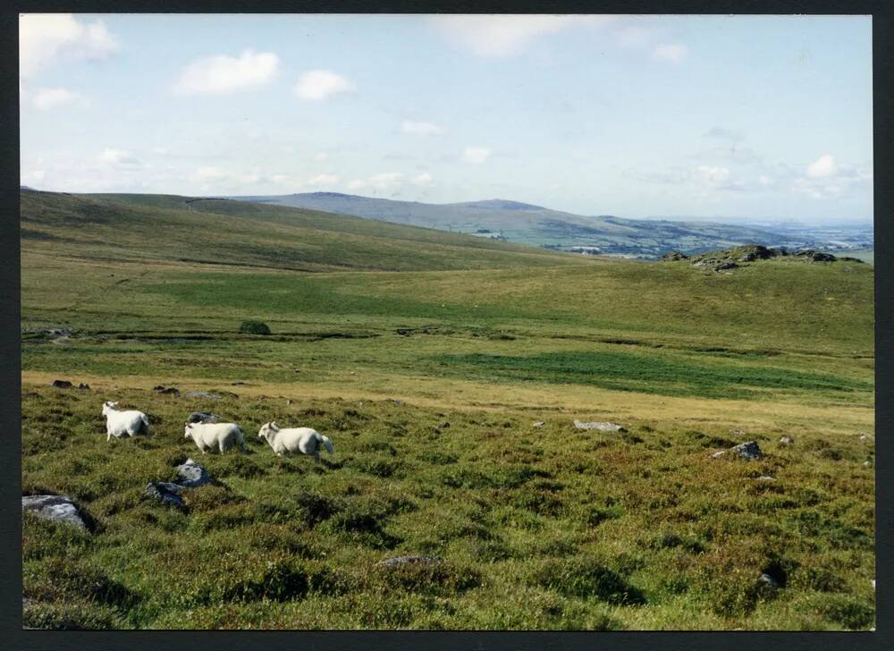 An image from the Dartmoor Trust Archive