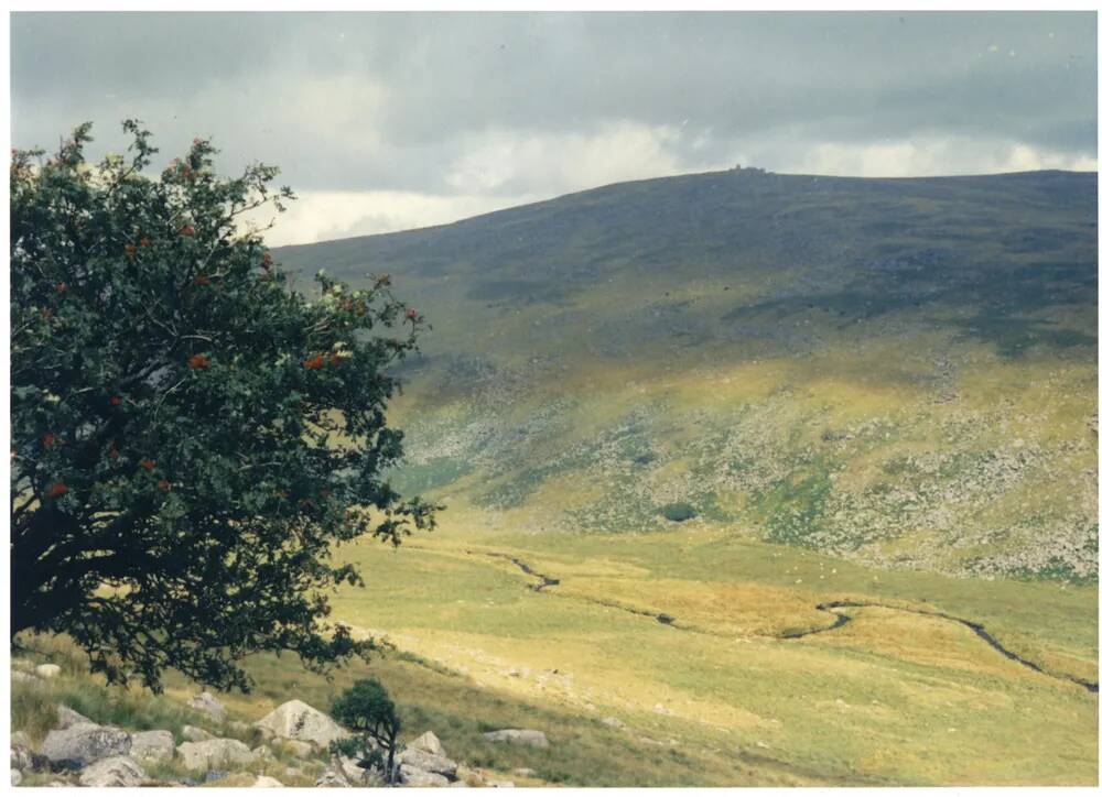 An image from the Dartmoor Trust Archive