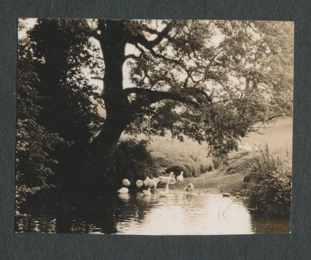 An image from the Dartmoor Trust Archive