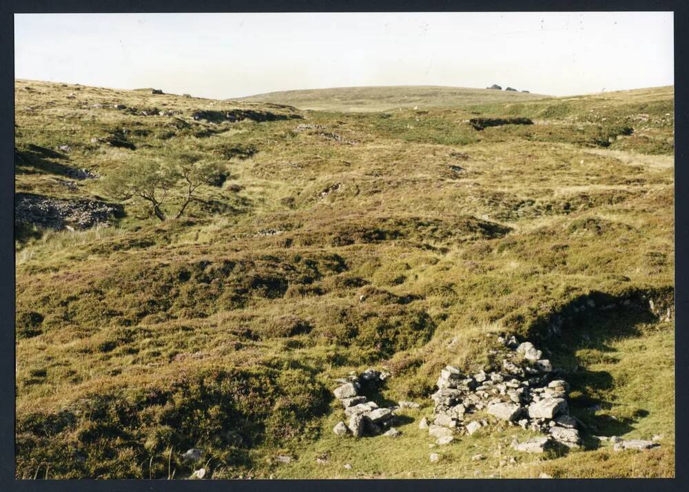 An image from the Dartmoor Trust Archive