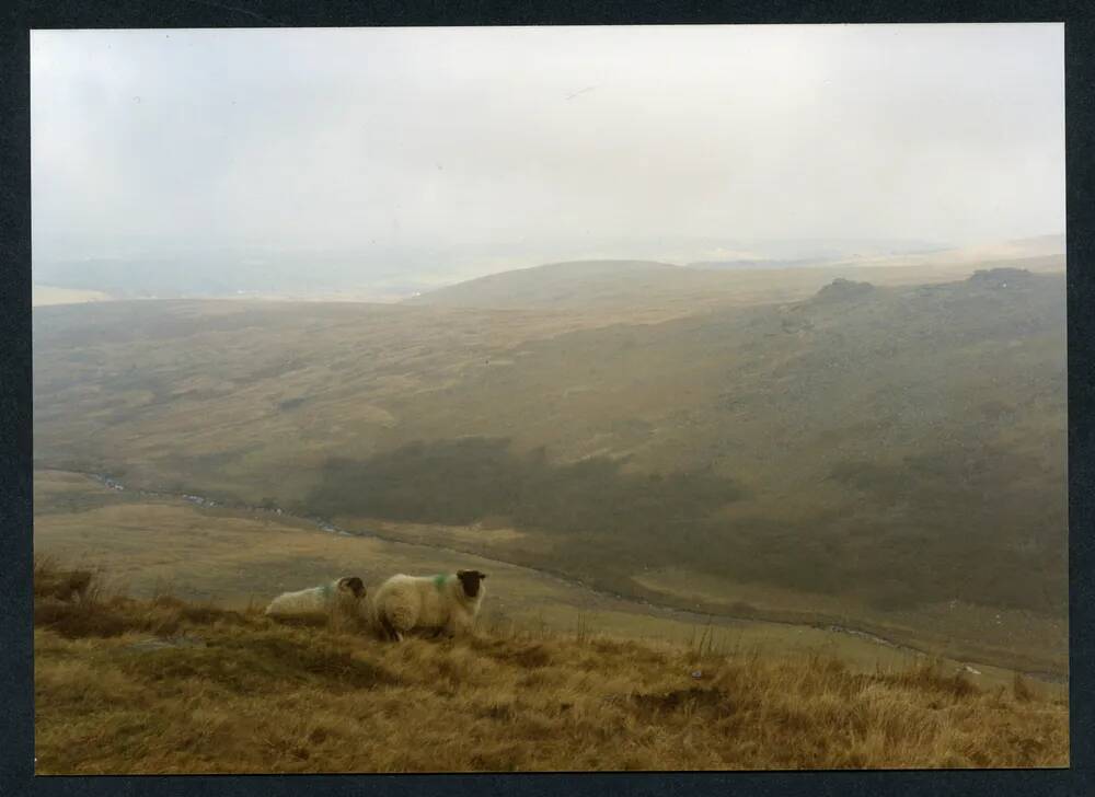 An image from the Dartmoor Trust Archive