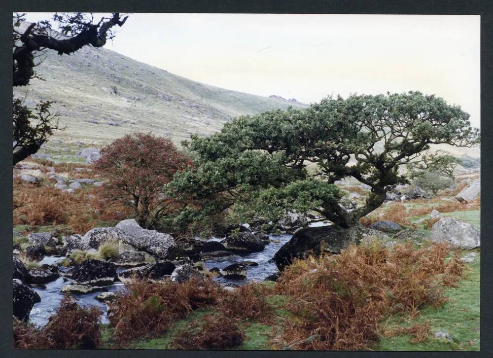 An image from the Dartmoor Trust Archive