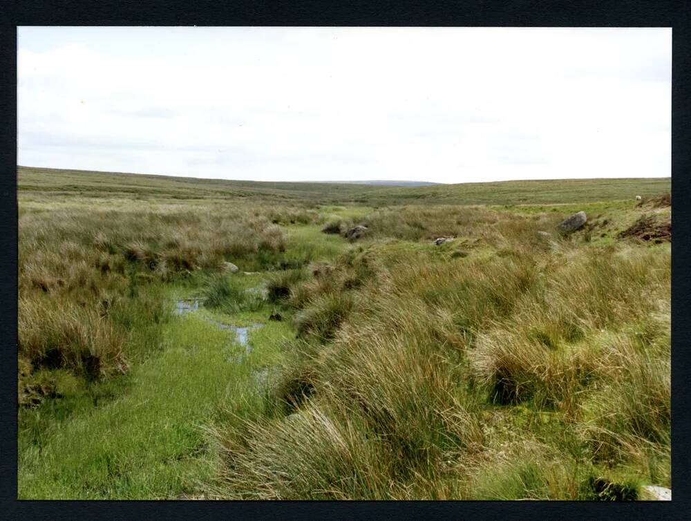 35/40 Near source of Avon, Aune Head Mires 20/7/1991