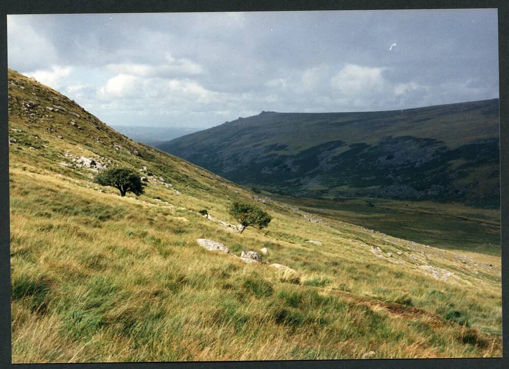 An image from the Dartmoor Trust Archive