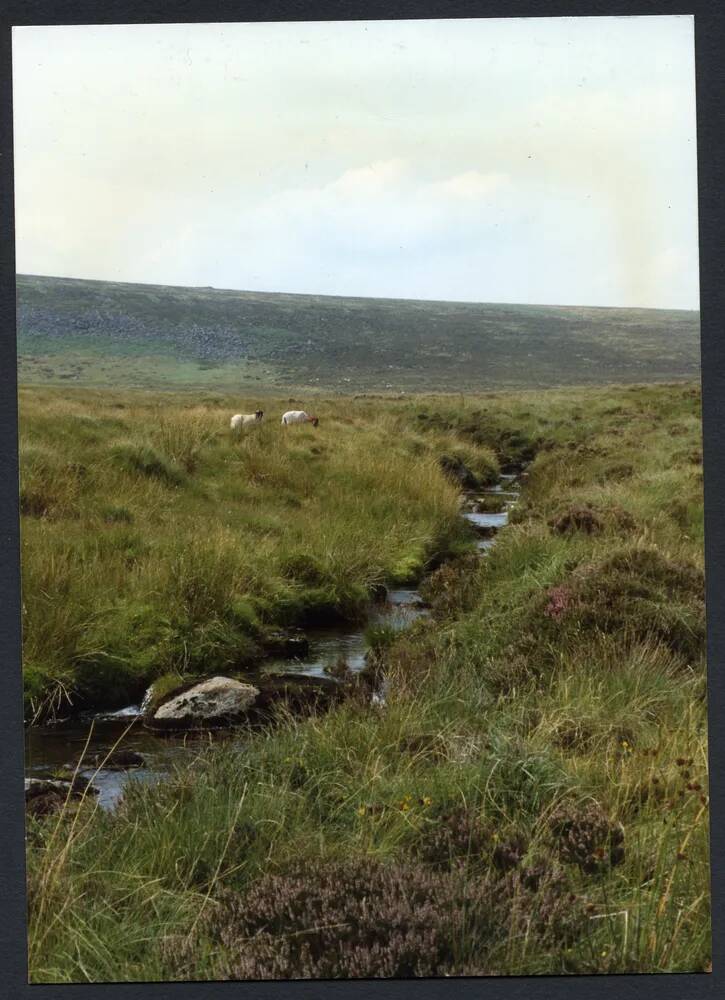 An image from the Dartmoor Trust Archive