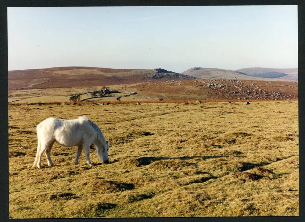 An image from the Dartmoor Trust Archive