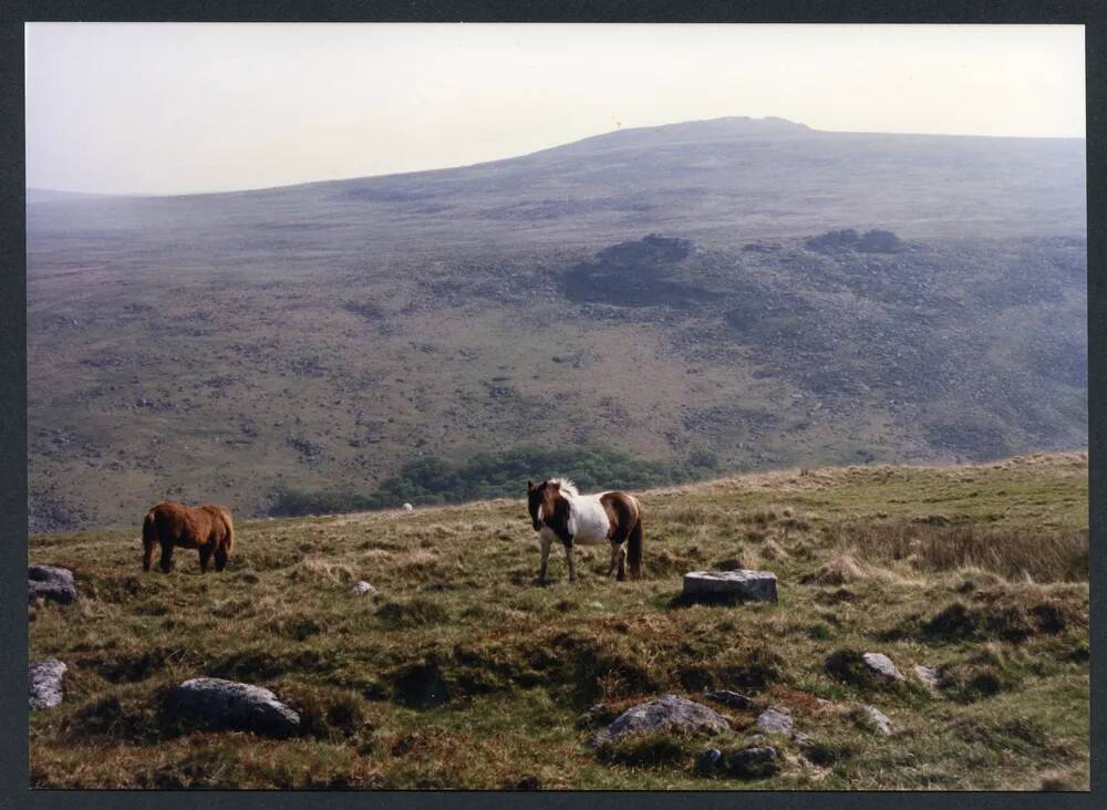 An image from the Dartmoor Trust Archive