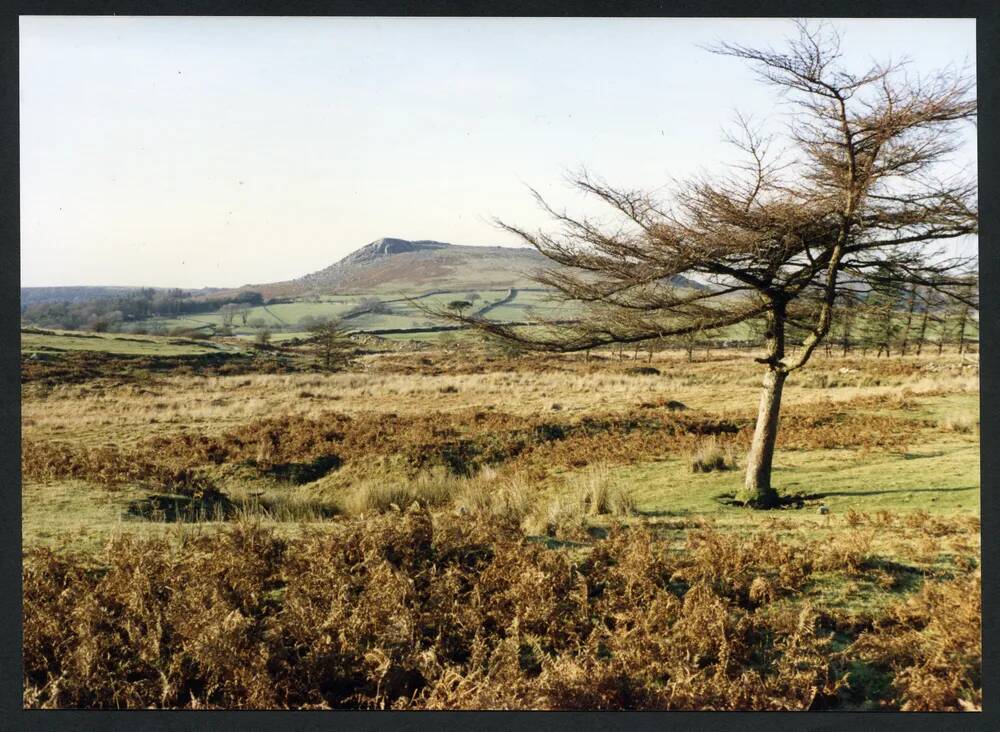 An image from the Dartmoor Trust Archive