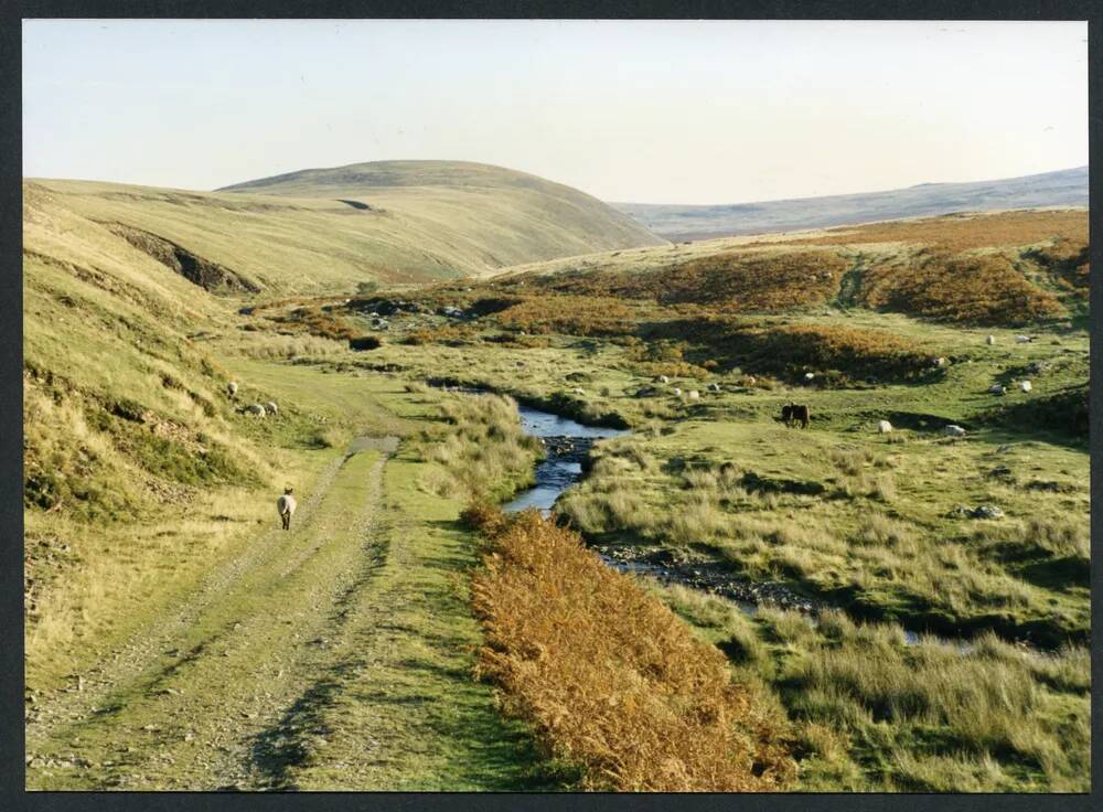 An image from the Dartmoor Trust Archive