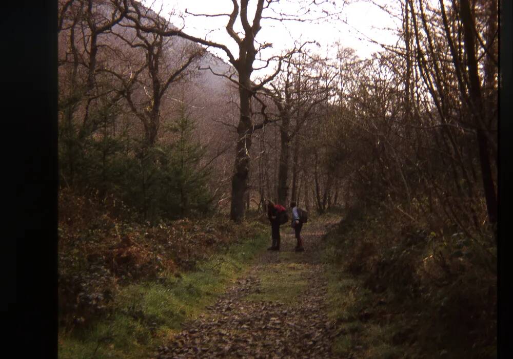 An image from the Dartmoor Trust Archive