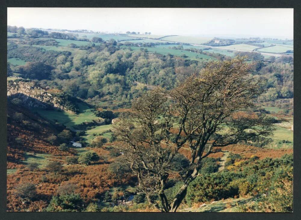 An image from the Dartmoor Trust Archive