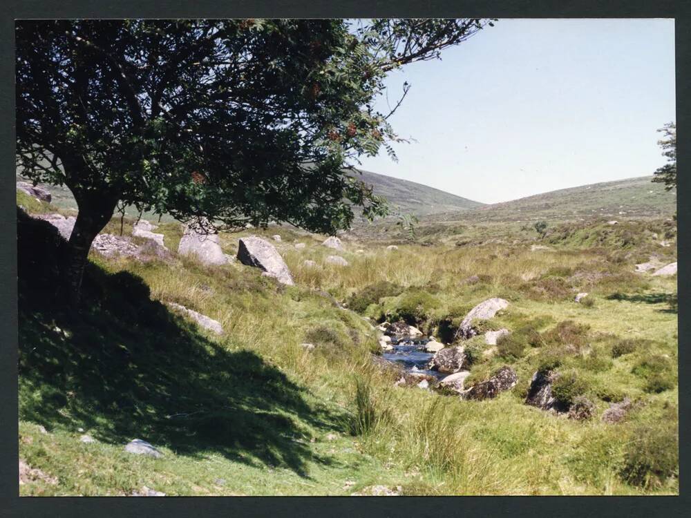 An image from the Dartmoor Trust Archive