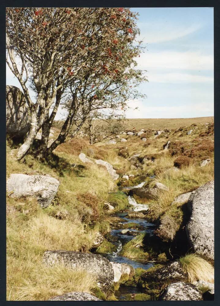 An image from the Dartmoor Trust Archive