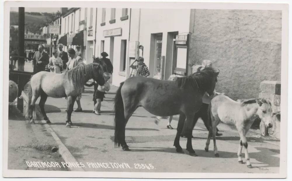 An image from the Dartmoor Trust Archive