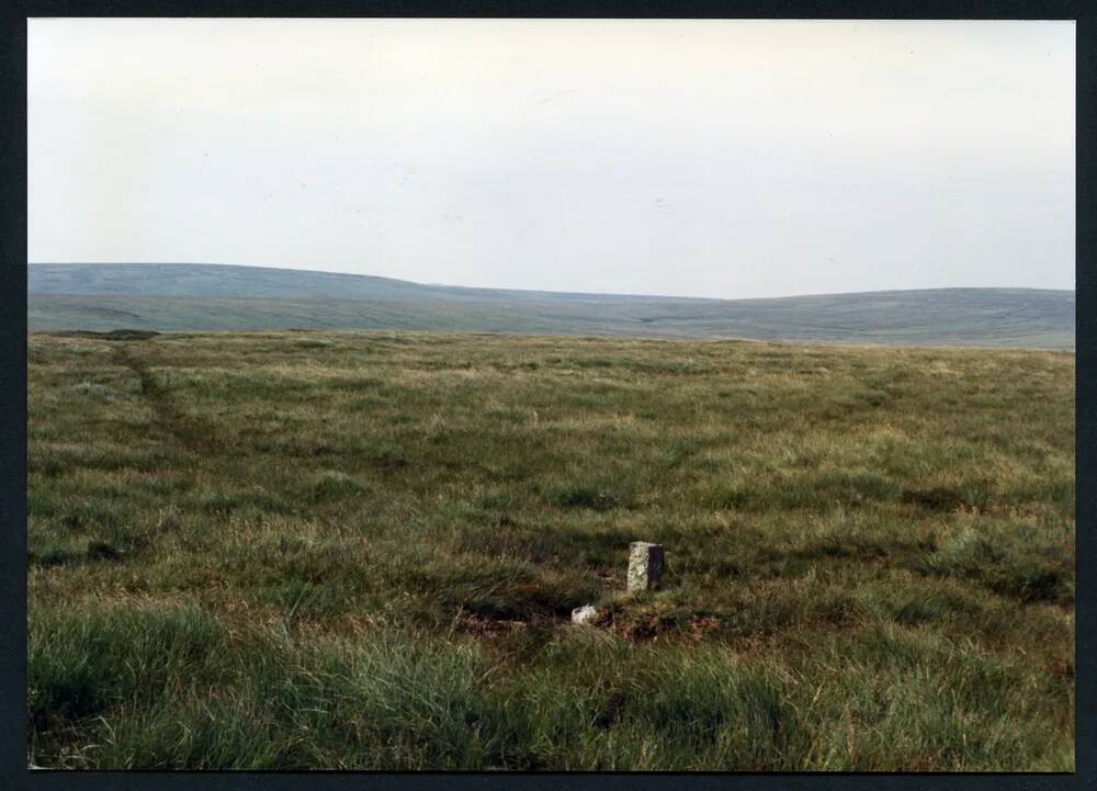 15/43 Philpotts Cut near Stat's House towards Head of North Teign 30/7/1991