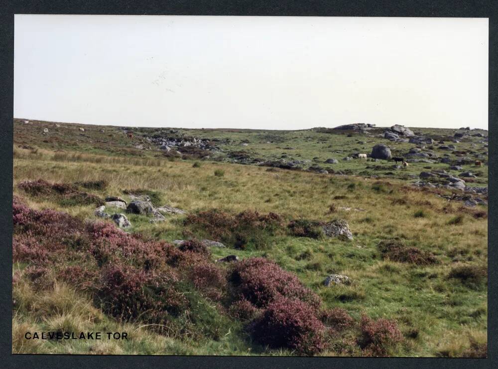 An image from the Dartmoor Trust Archive