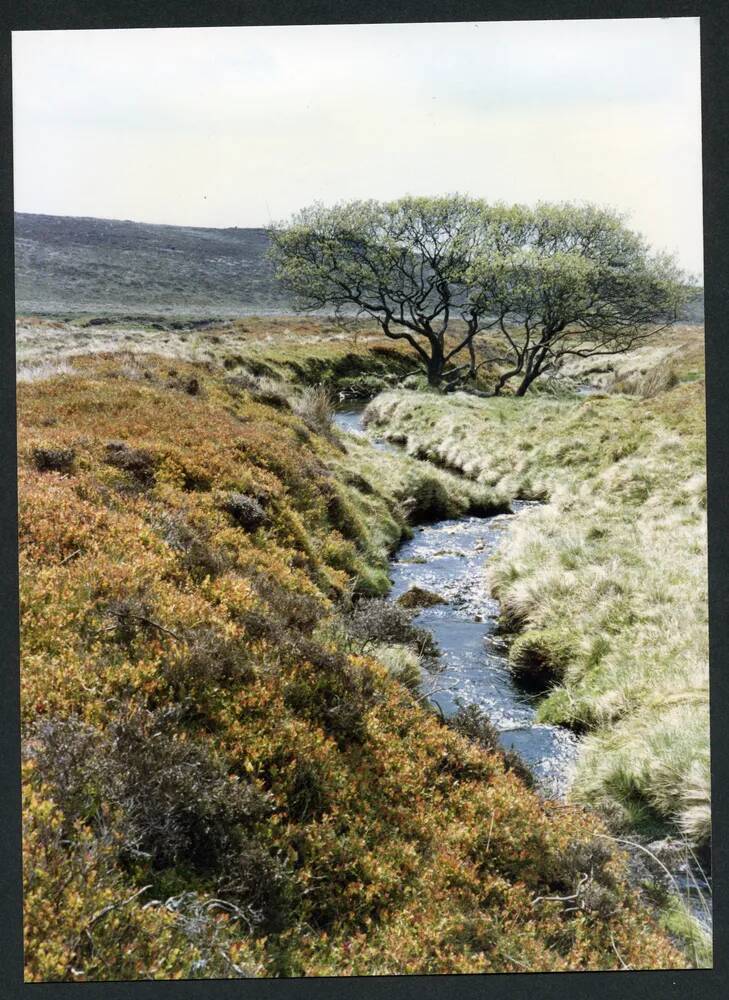 An image from the Dartmoor Trust Archive