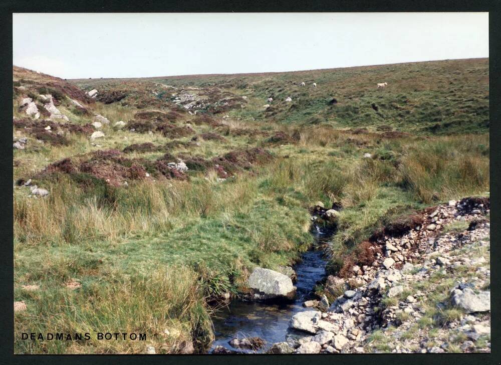 An image from the Dartmoor Trust Archive