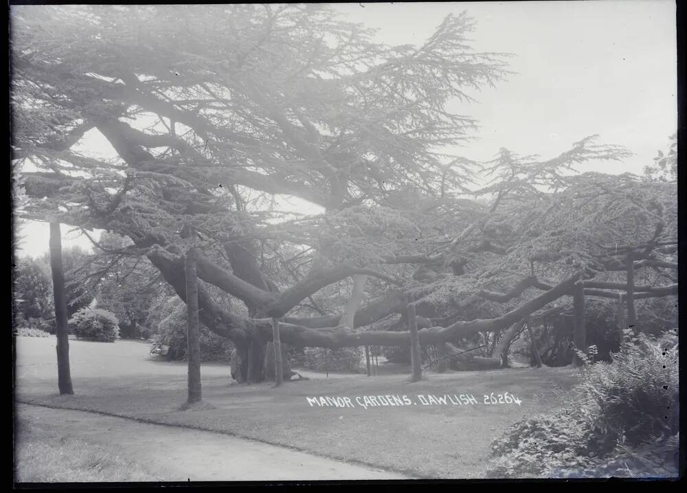 Manor Gardens, Dawlish