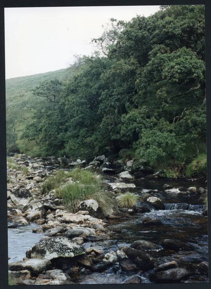 An image from the Dartmoor Trust Archive