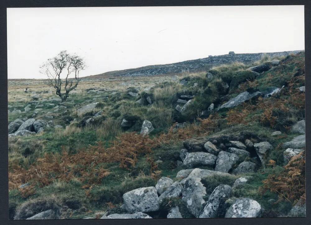 An image from the Dartmoor Trust Archive