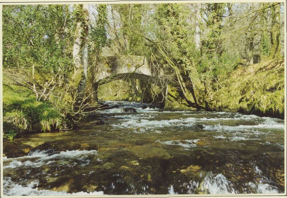 An image from the Dartmoor Trust Archive