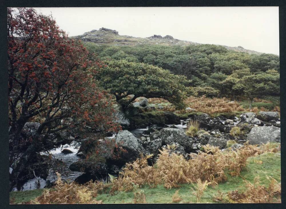 An image from the Dartmoor Trust Archive