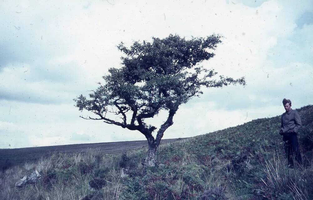 An image from the Dartmoor Trust Archive