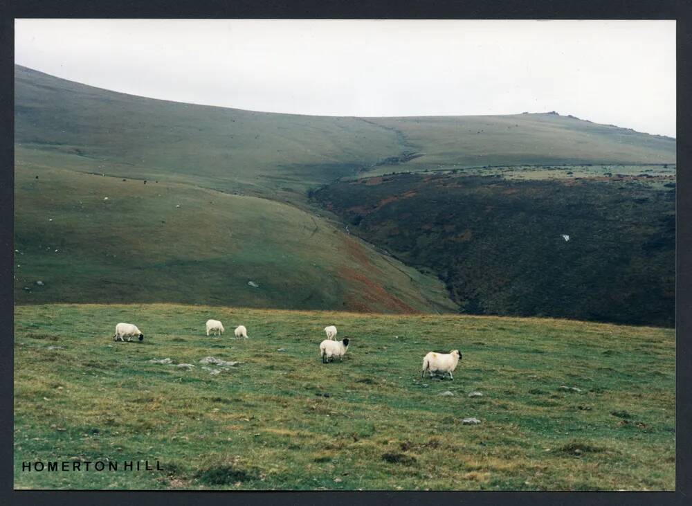 An image from the Dartmoor Trust Archive