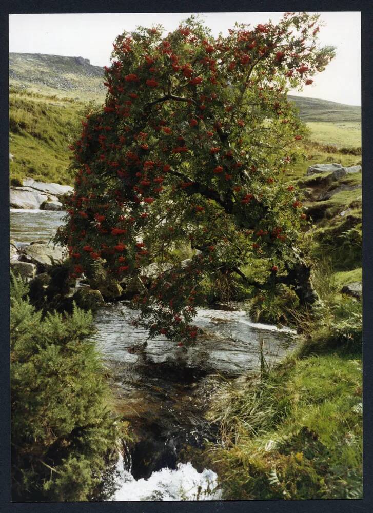 An image from the Dartmoor Trust Archive