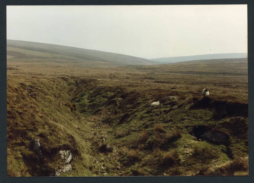 30/19 Tinners Gert above Brockhill Mire 15/4/1991