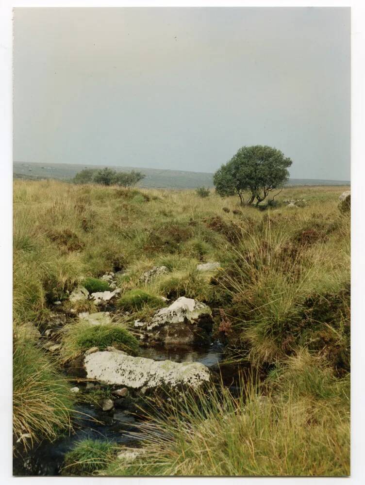 An image from the Dartmoor Trust Archive