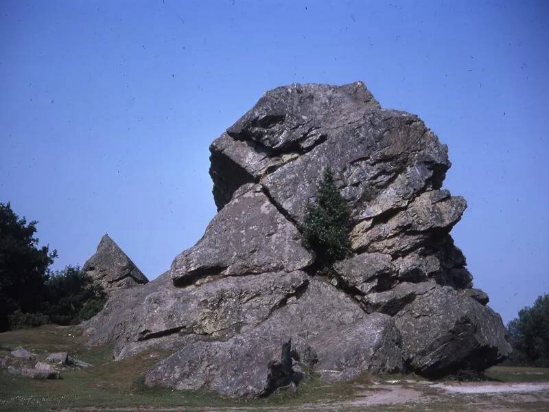 An image from the Dartmoor Trust Archive