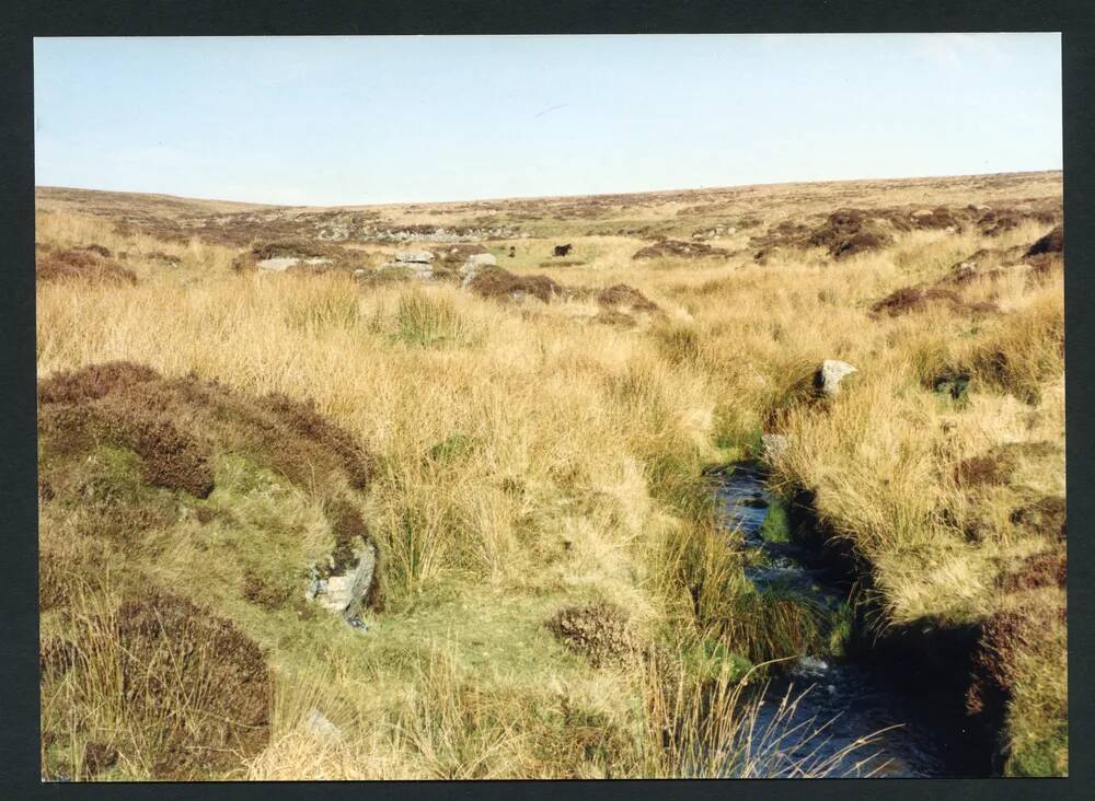 An image from the Dartmoor Trust Archive