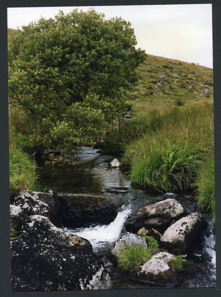 An image from the Dartmoor Trust Archive