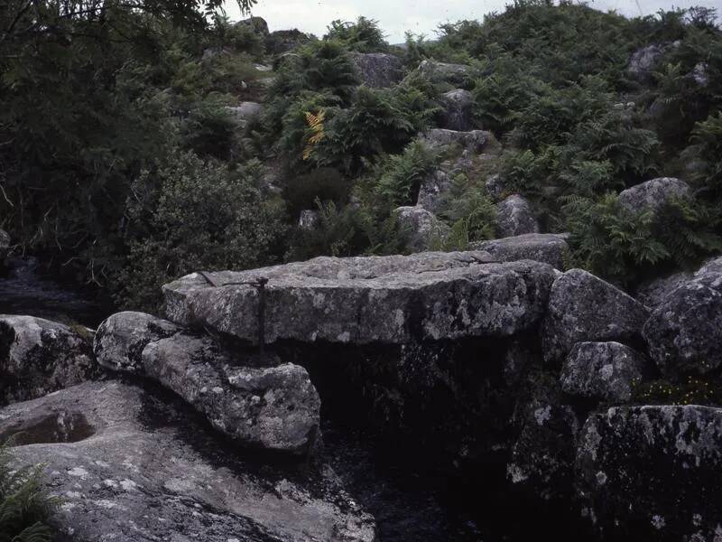 An image from the Dartmoor Trust Archive