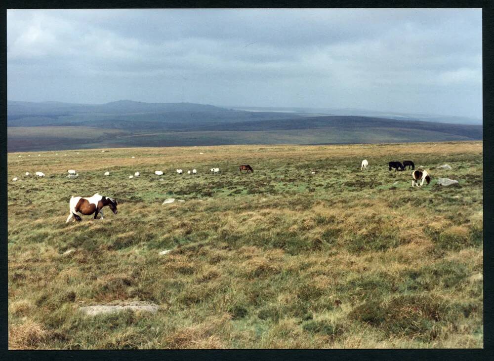 19/63 Above Hen Tor 2/10/1991