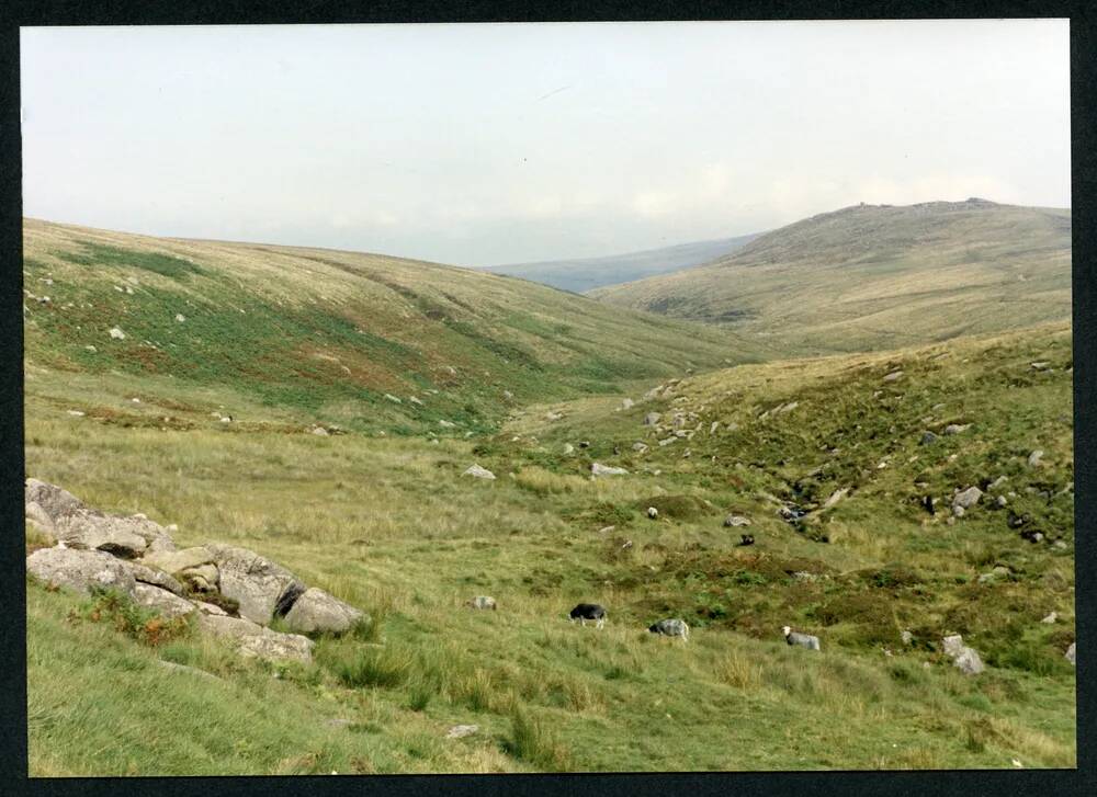 An image from the Dartmoor Trust Archive