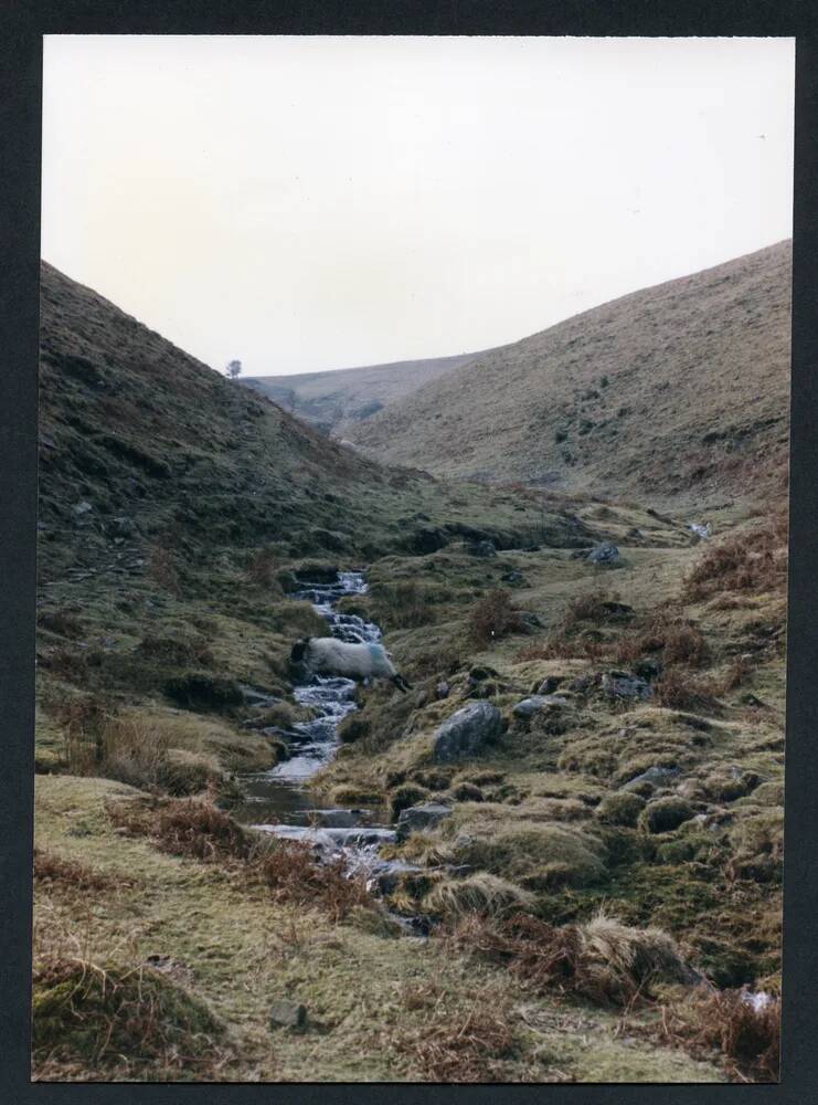 An image from the Dartmoor Trust Archive