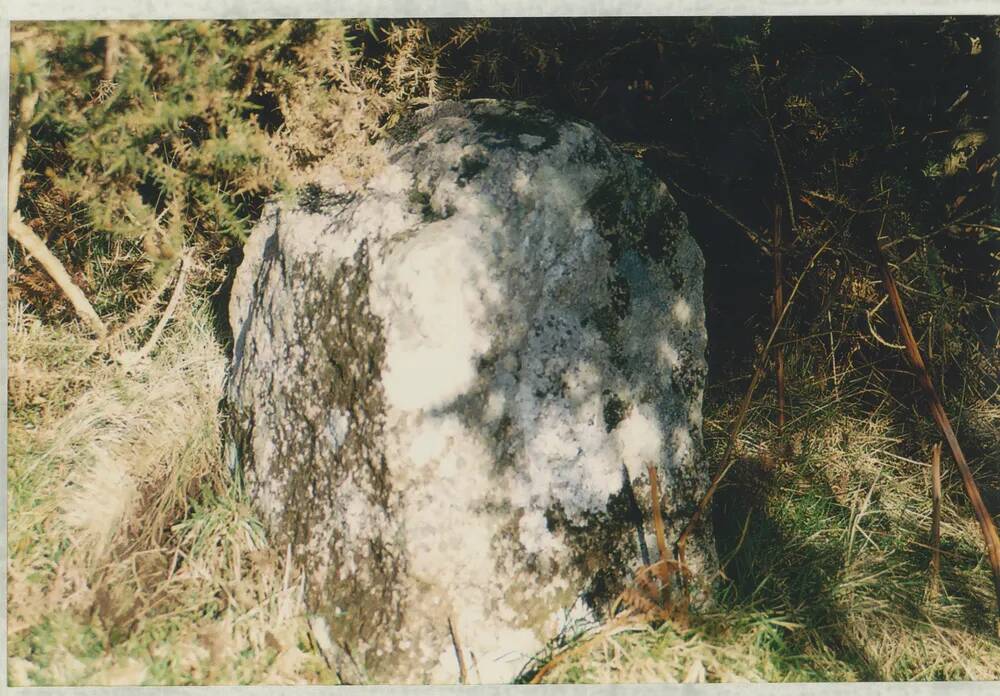 An image from the Dartmoor Trust Archive