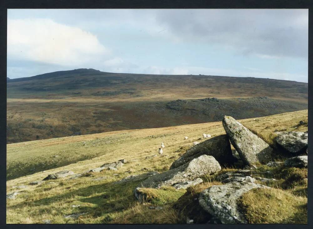 An image from the Dartmoor Trust Archive