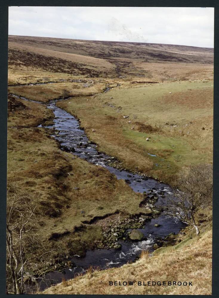 An image from the Dartmoor Trust Archive