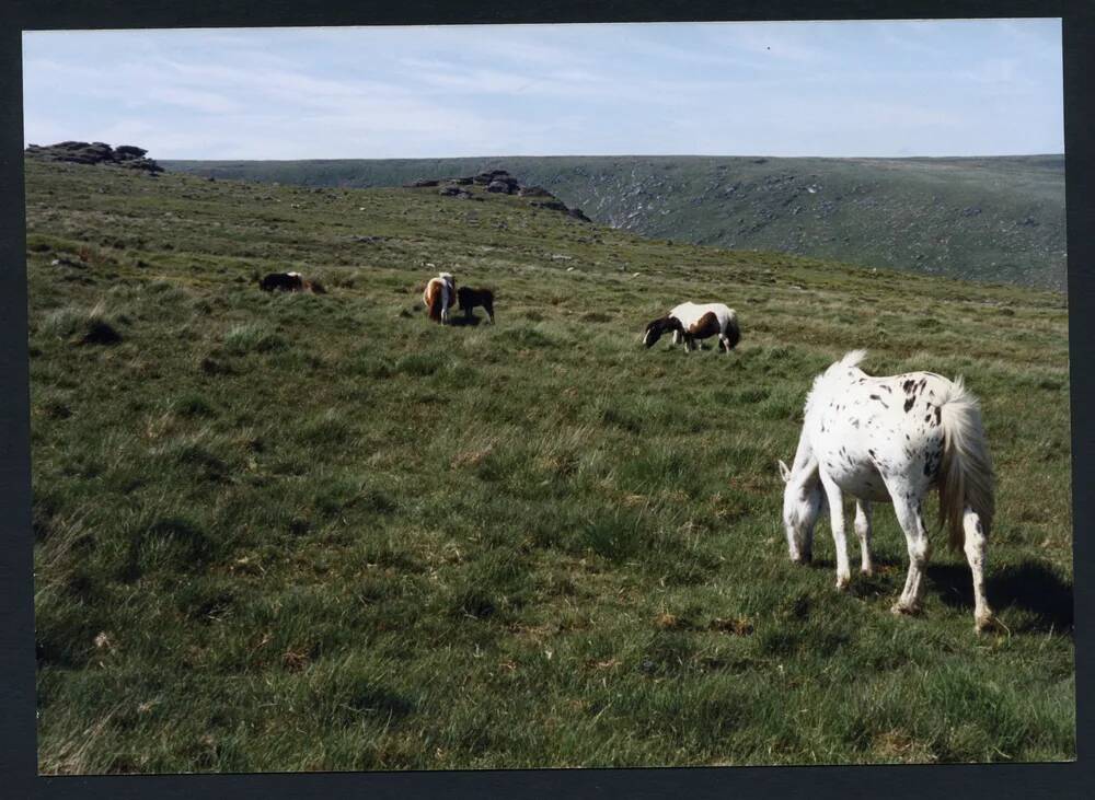 An image from the Dartmoor Trust Archive