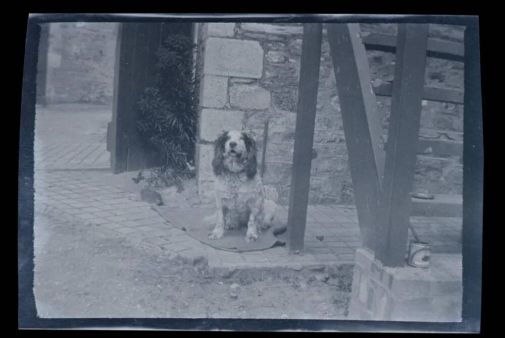 An image from the Dartmoor Trust Archive