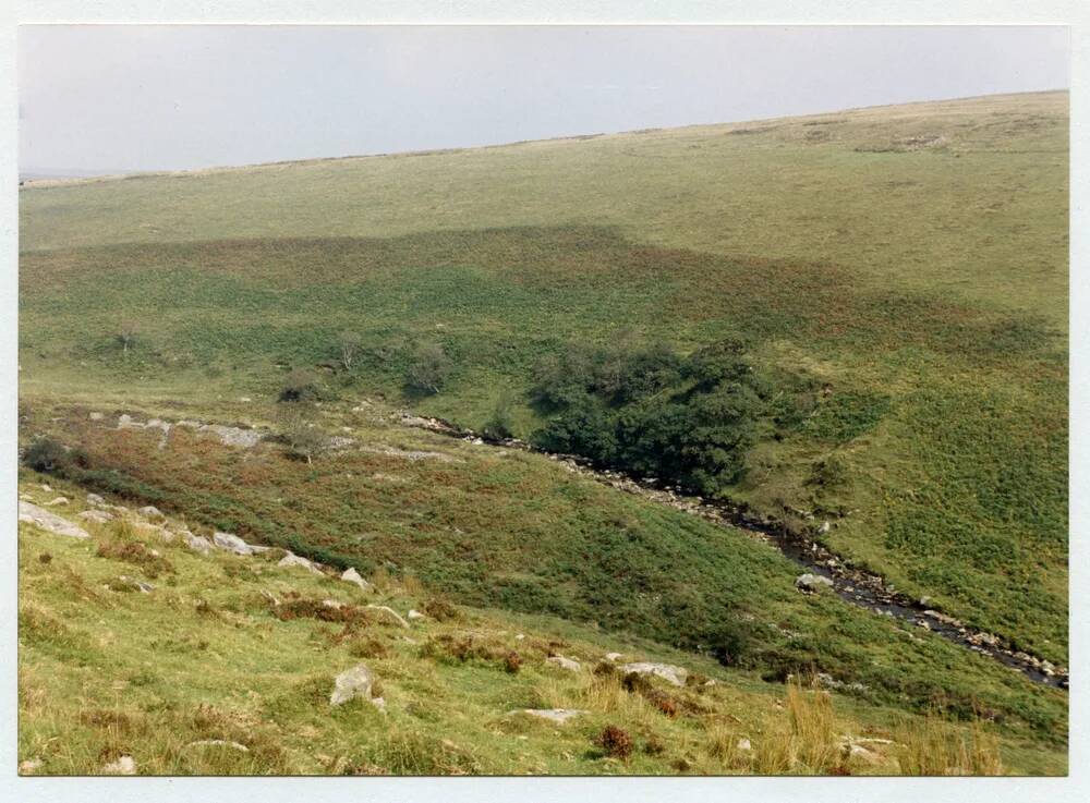 An image from the Dartmoor Trust Archive