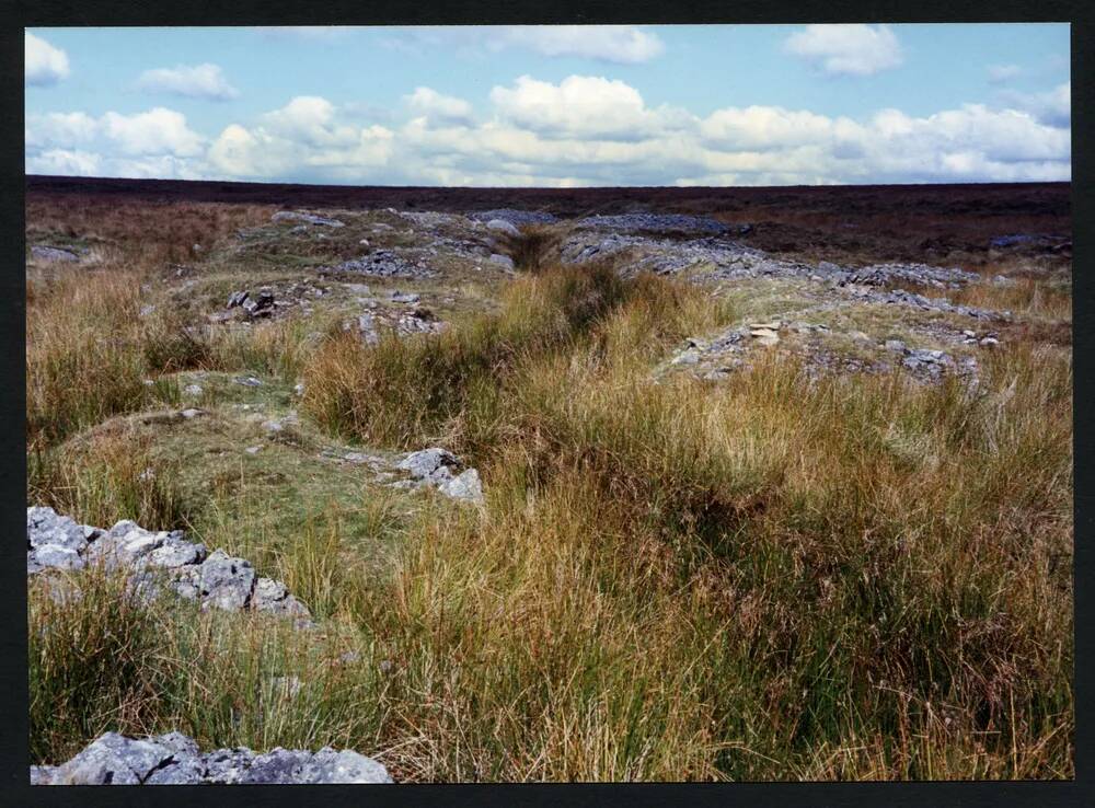 An image from the Dartmoor Trust Archive