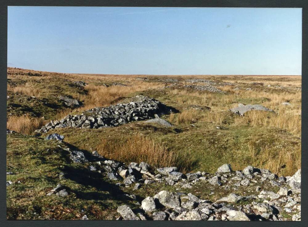 An image from the Dartmoor Trust Archive