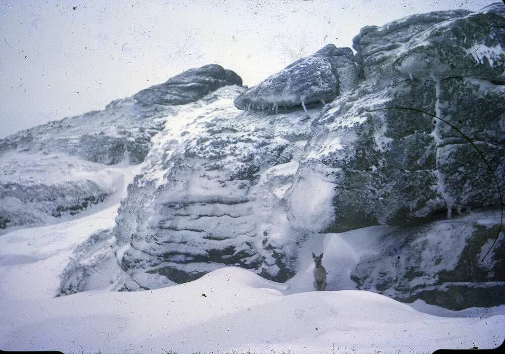 An image from the Dartmoor Trust Archive