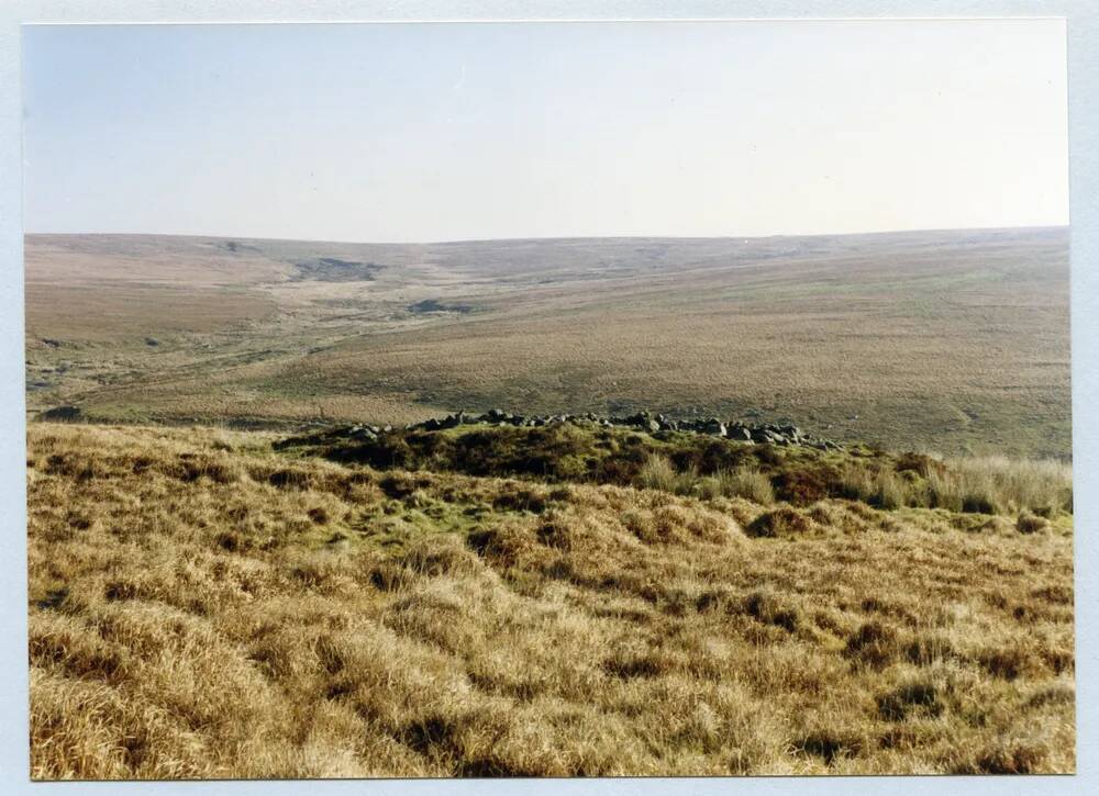 An image from the Dartmoor Trust Archive