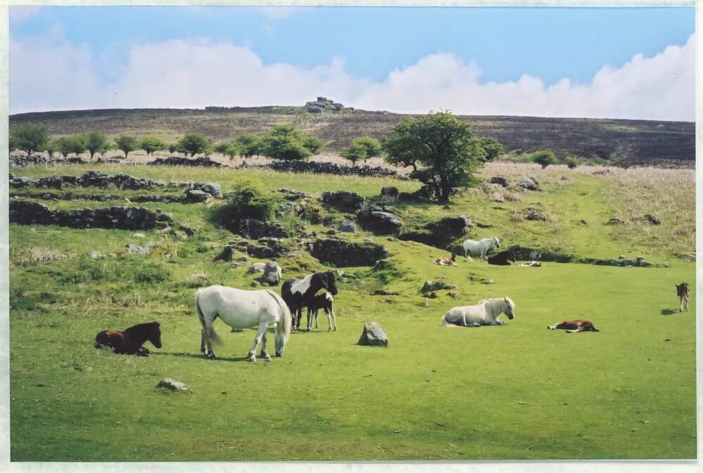 An image from the Dartmoor Trust Archive